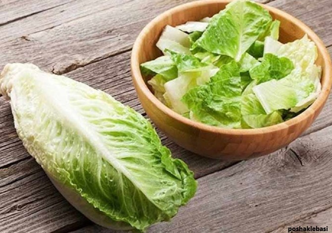 مدل کیف های نوزادی جدید