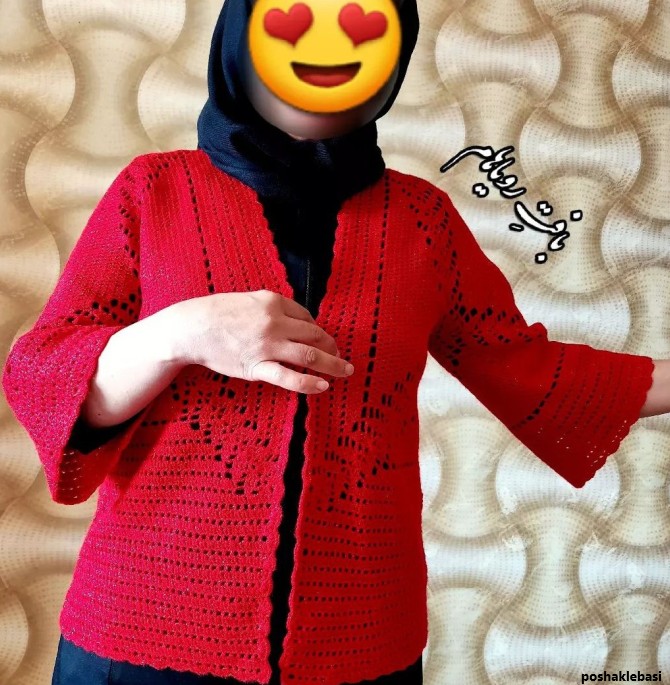مدل بافت شش ضلعی